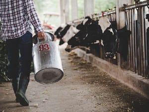Subsidy for silage making unit